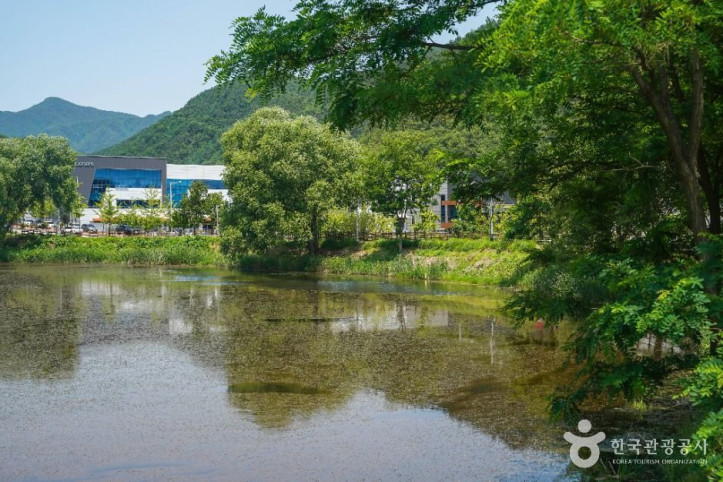송호지공원 여행 추천 - 메고지고