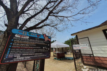 연세대학교 원주박물관 여행 추천 - 메고지고
