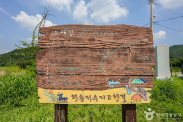양송천묘역 여행 추천 - 메고지고