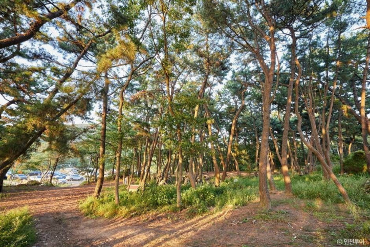 호룡곡산 여행 추천 - 메고지고
