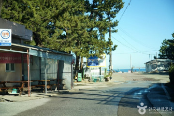 맹방 벚꽃길 여행 추천 - 메고지고