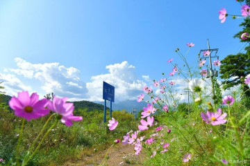 속초 하도문쌈채 마을 여행 추천 - 메고지고