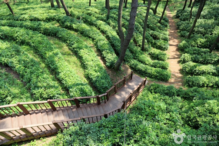 익산산림조합산림문화체험관 여행 추천 - 메고지고