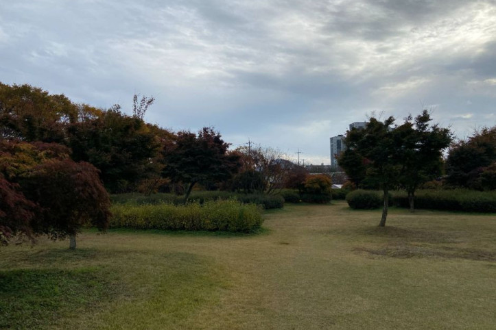 황룡강 생태공원 여행 추천 - 메고지고