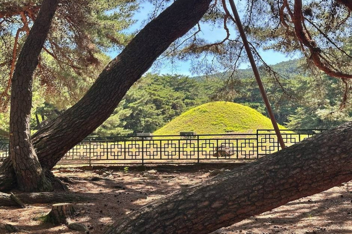 삼릉숲 여행 추천 - 메고지고