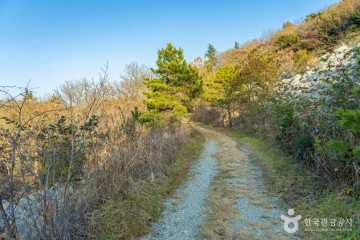 도솔암(해남) 여행 추천 - 메고지고