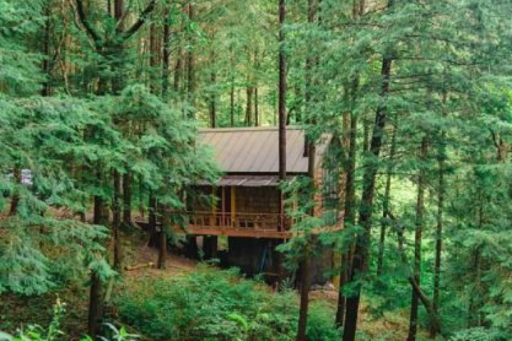 상관 공기마을 편백숲 여행 추천 - 메고지고