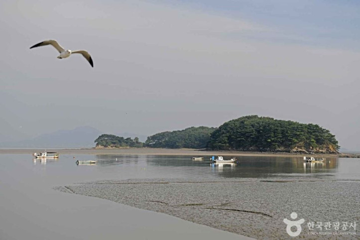 예단포선착장 여행 추천 - 메고지고