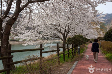 수만리생태숲공원 여행 추천 - 메고지고