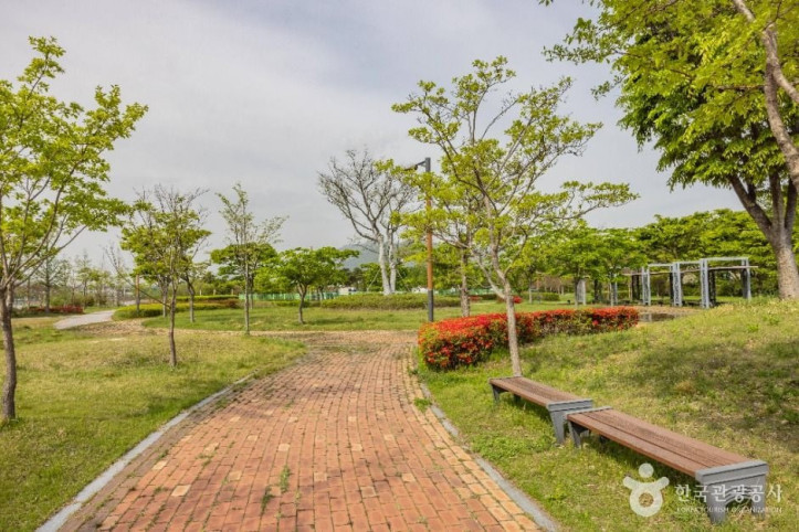 대저수문 생태공원 여행 추천 - 메고지고
