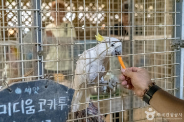 노암터널 여행 추천 - 메고지고