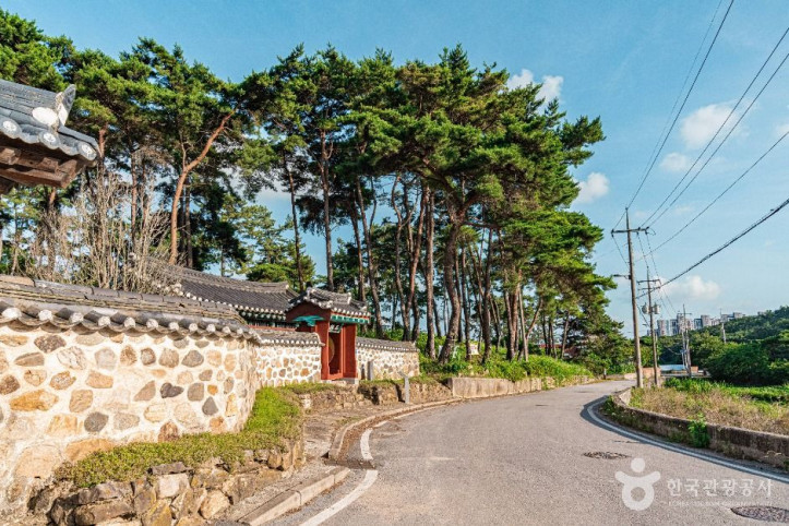 고씨삼강문 여행 추천 - 메고지고