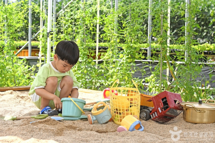 오대산힐링빌리지 여행 추천 - 메고지고