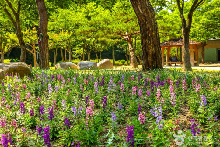 대구앞산공원 여행 추천 - 메고지고