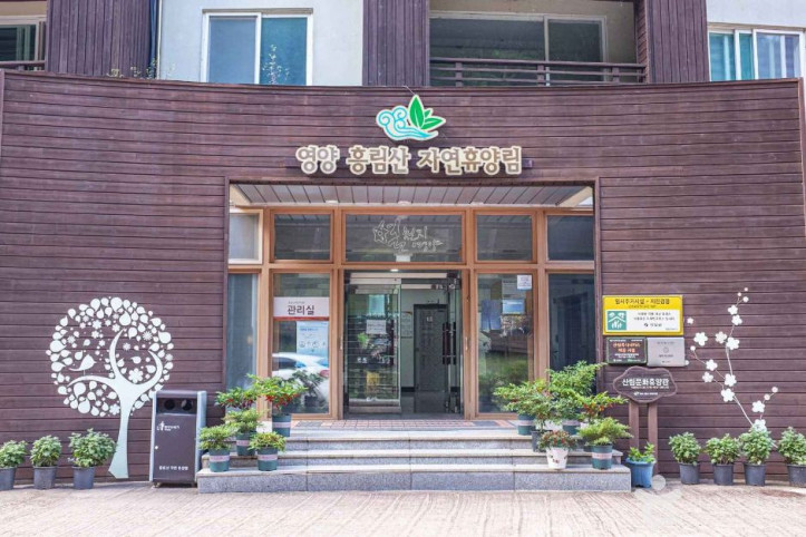 흥림산자연휴양림 (영양에코둥지) 여행 추천 - 메고지고