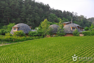 용연사(강릉) 여행 추천 - 메고지고