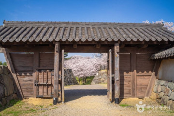 선진마을 여행 추천 - 메고지고