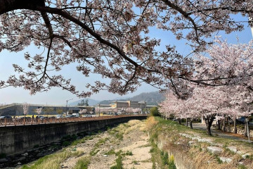 경주 김유신묘 여행 추천 - 메고지고