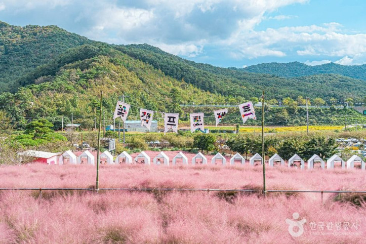 꽃객프로젝트 여행 추천 - 메고지고