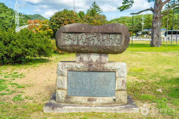 속리산연꽃단지 여행 추천 - 메고지고