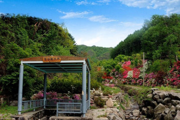 광치계곡 여행 추천 - 메고지고