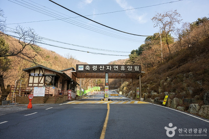 축령산자연휴양림 여행 추천 - 메고지고
