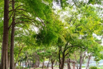 전북특별자치도 어린이 창의체험관 여행 추천 - 메고지고