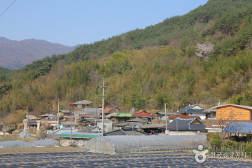 섬진강변 철쭉길 여행 추천 - 메고지고