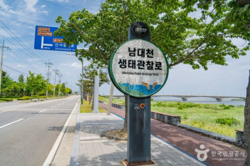 남대천(양양) 여행 추천 - 메고지고