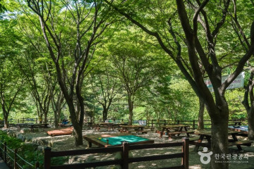용연사(대구) 여행 추천 - 메고지고