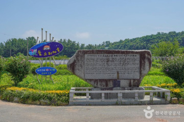 강진 백사어촌체험마을 여행 추천 - 메고지고