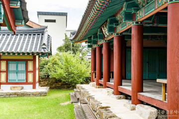 영덕복사꽃마을 여행 추천 - 메고지고