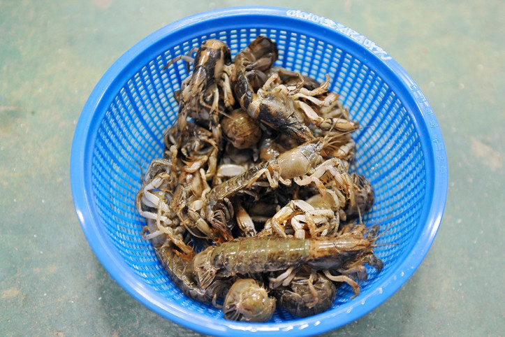 전도갯벌체험장 여행 추천 - 메고지고