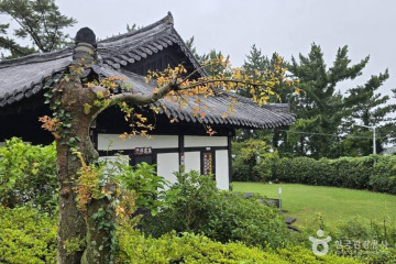 광명사(제주) 여행 추천 - 메고지고