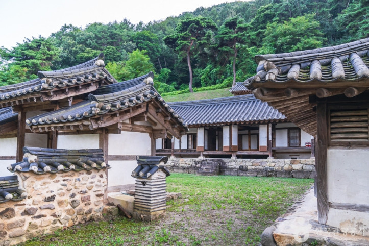 보은풍림정사 여행 추천 - 메고지고