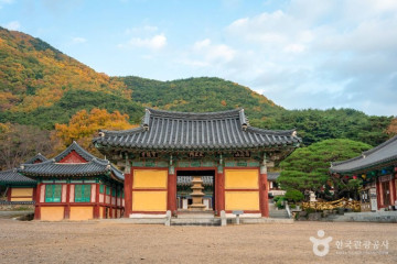 내연산보경사시립공원 여행 추천 - 메고지고