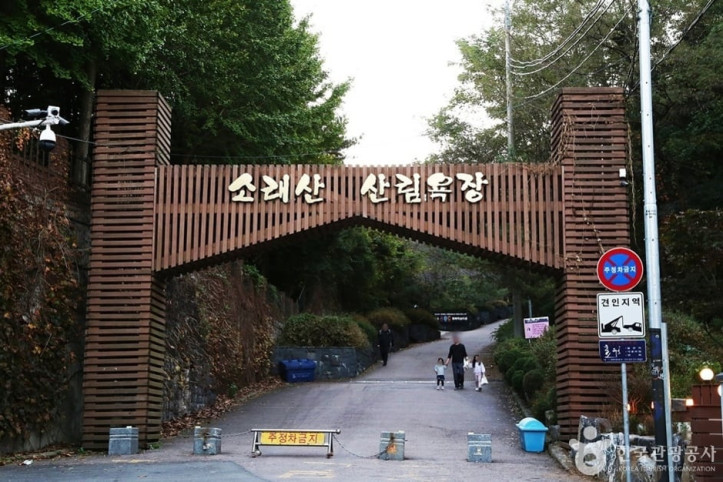 소래산산림욕장 여행 추천 - 메고지고