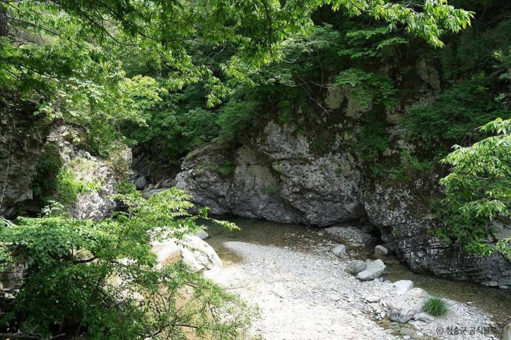노루용추 계곡 (청송 국가지질공원) 여행 추천 - 메고지고