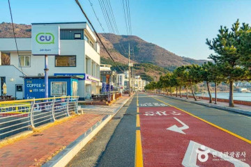 학동 내촐 유채꽃밭 여행 추천 - 메고지고