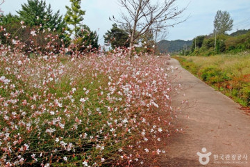 세종어린이천문대(세종미리내천문대) 여행 추천 - 메고지고