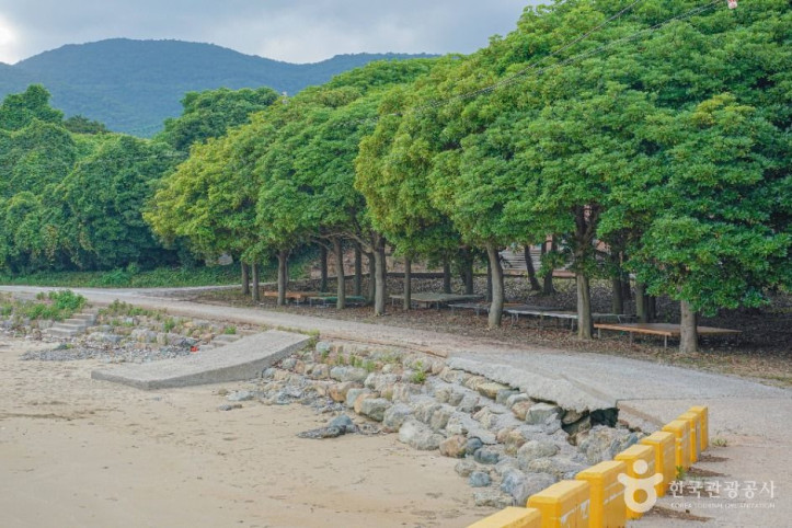 남성리해수욕장 여행 추천 - 메고지고