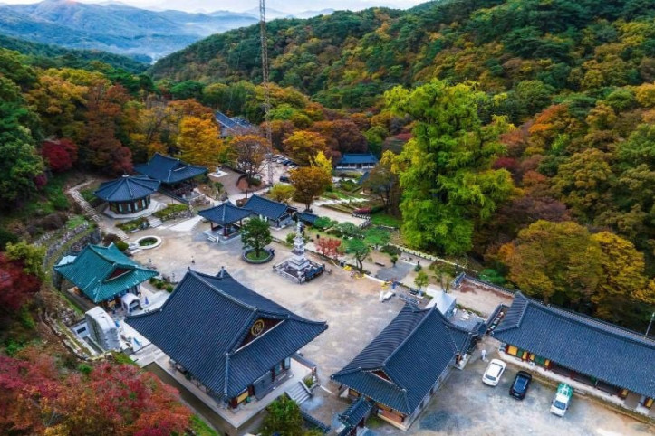 양평 용문사 은행나무 여행 추천 - 메고지고
