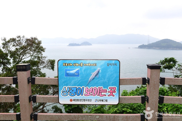 끝등 전망대 여행 추천 - 메고지고