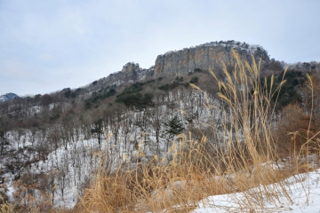 화천 산약초 마을 여행 추천 - 메고지고