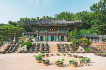 서대문 안산(안산자락길) 여행 추천 - 메고지고