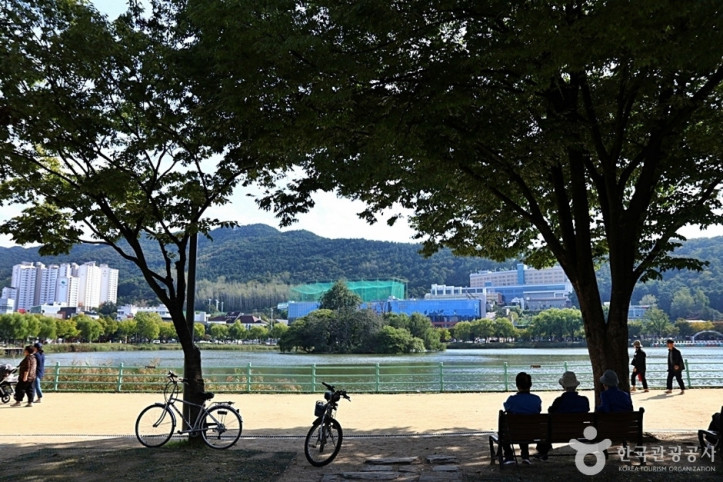 수성못상화동산 여행 추천 - 메고지고