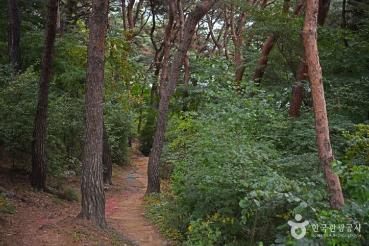 팔달산 여행 추천 - 메고지고