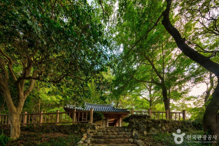 장흥 사인정 여행 추천 - 메고지고