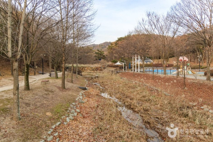 도음산 산림문화수련장 여행 추천 - 메고지고