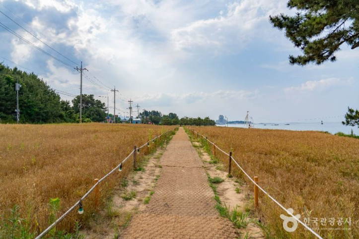 순긋해변 여행 추천 - 메고지고